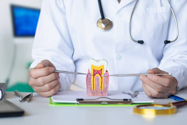 Best Emergency Treatment for Jaw Pain or Injury in Elton, LA